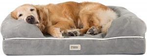 Orthopedic beds for dogs