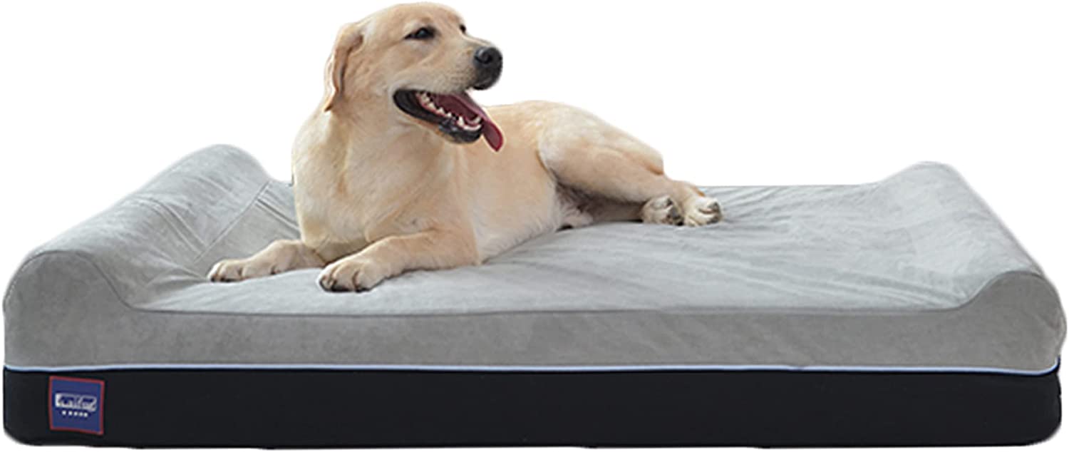 dog beds for arthritis